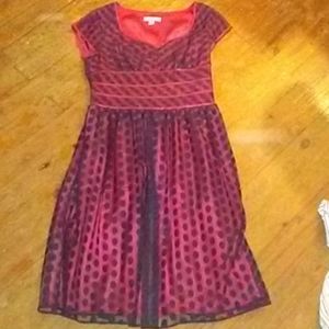 Cold water creek size 10